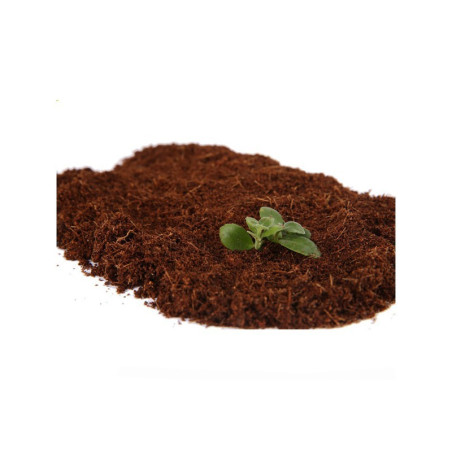 Podłoże do terrarium Repti-Zoo Włókna kokosowe 4 l