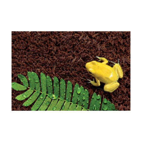 Podłoże do terrarium Repti-Zoo Włókna kokosowe 4 l