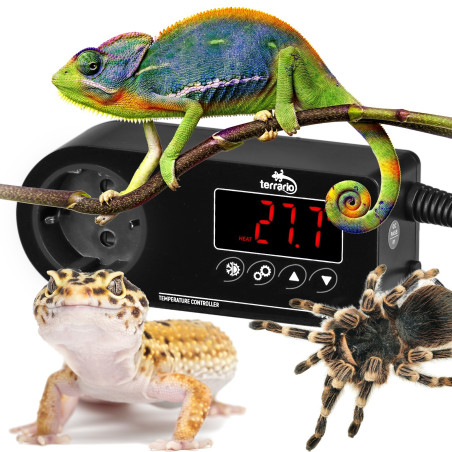 Terrario Myriaton Temperature Controller - Dokładna kontrola temperatury w terrarium