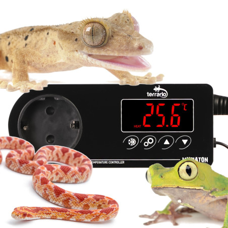 Terrario Myriaton Temperature Controller - Dokładna kontrola temperatury w terrarium