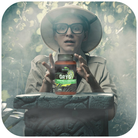 Terrario ORYO for Turtles & Tortoise 150g - Silna skorupa i zdrowie żółwia