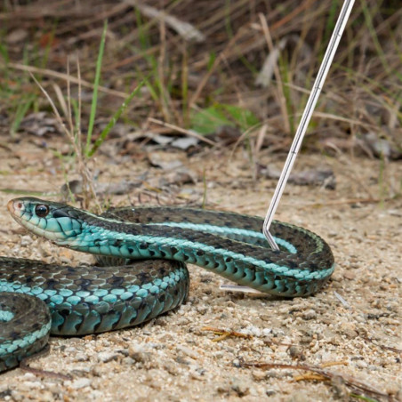 Repti-Zoo Stainless Snake Hook - metalowy hak na węże max 2kg | Bezpieczne i precyzyjne chwytanie