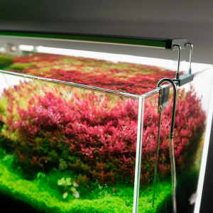 Chihiros B-Series B20 LED Light with Commander - lampa led sterowana aplikacją 20-30cm