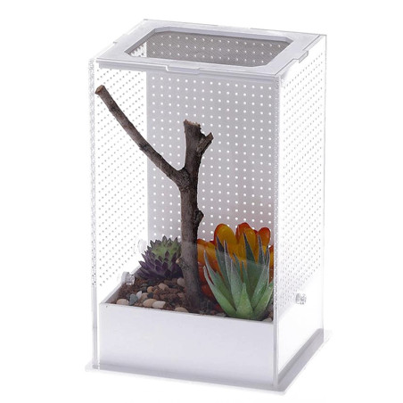 Repti-Zoo Mantis Box L - terrarium akrylowe dla modliszek | Idealne do hodowli