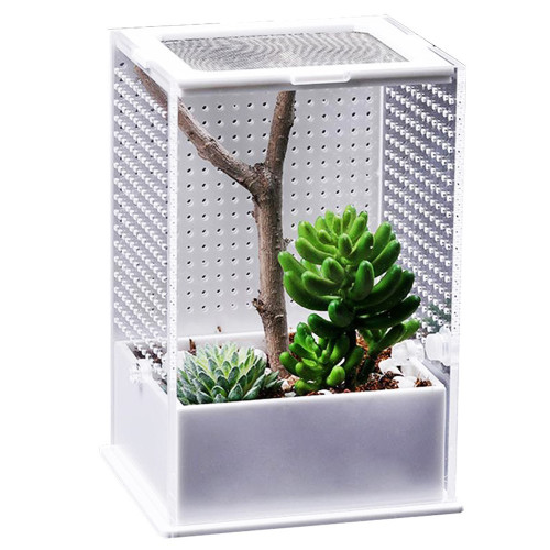Repti-Zoo Mantis Box L - terrarium akrylowe dla modliszek | Idealne do hodowli