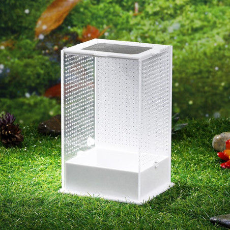 Repti-Zoo Mantis Box L - terrarium akrylowe dla modliszek | Idealne do hodowli