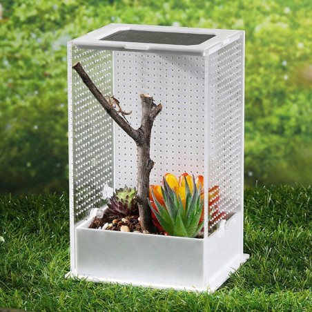 Repti-Zoo Mantis Box L - terrarium akrylowe dla modliszek | Idealne do hodowli