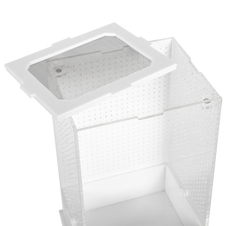 Repti-Zoo Mantis Box M - terrarium akrylowe dla modliszek | Idealne do hodowli i obserwacji