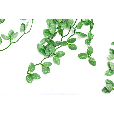 Repti-Zoo roślina wisząca Fitonia 40cm - Idealna do terrarium