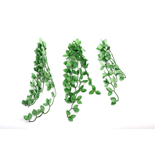 Repti-Zoo roślina wisząca Fitonia 40cm - Idealna do terrarium