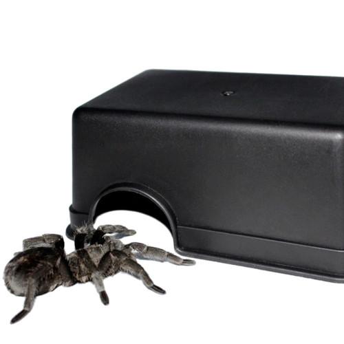Terrario CubeCave jaskinia miska na wodę i pokarm 14x9x5cm | Idealna do terrarium
