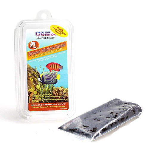 Ocean Nutrition Seaweed Brown 12g - naturalne algi z czosnkiem, idealne dla ryb morskich