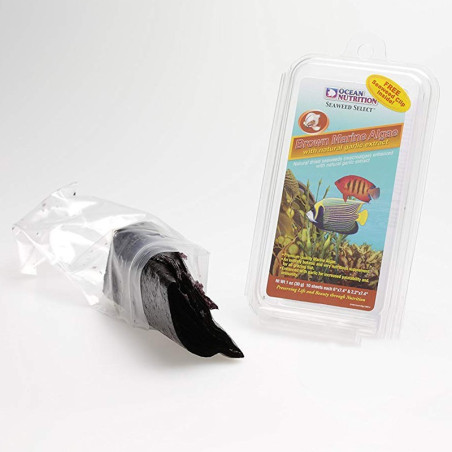 Ocean Nutrition Seaweed Brown 12g - naturalne algi z czosnkiem, idealne dla ryb morskich