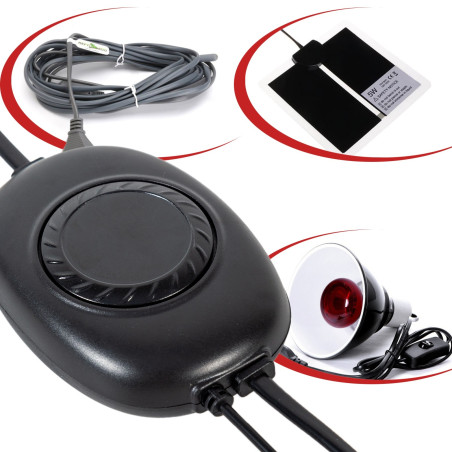 Repti-Zoo PID Dimming Mini Thermostat - idealny do terrarium