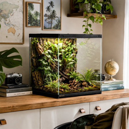 Terrarium szklane Terrario Frevo Clear 30x30x30 cm