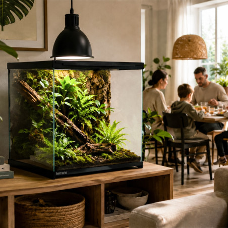 Terrarium szklane Terrario Frevo Clear 30x30x30 cm