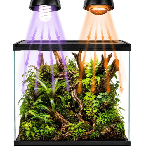 Terrarium szklane Terrario Frevo Clear 30x30x30 cm