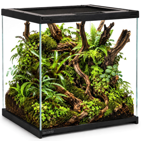Terrarium szklane Terrario Frevo Clear 30x30x30 cm