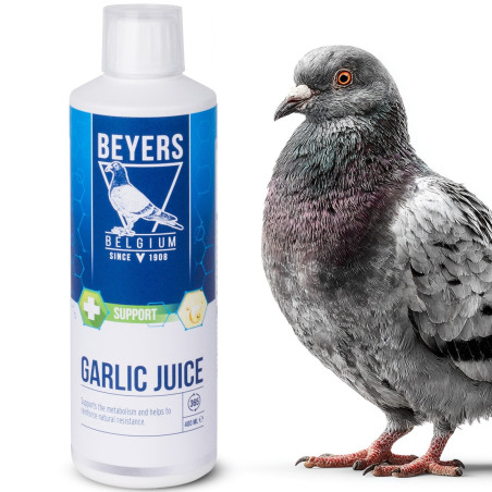 Beyers Garlic Juice 400ml sok czosnkowy dla gołębi - Wzmacnia odporność i apetyt