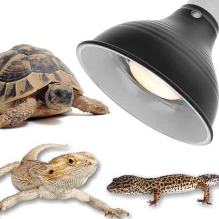 Resun Reptile Black Lamp BIG - lampa do terrarium | Szybkie i bezpieczne ogrzewanie dla gadów