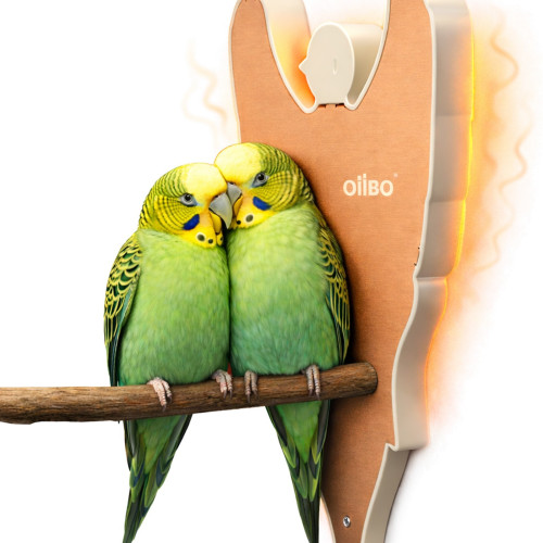 Panel grzewczy OiiBO Parrot 10W dla papug