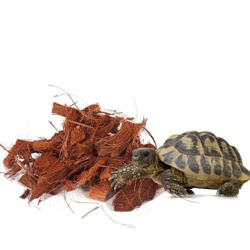 Podłoże kokosowe Terrario Mae Moei Rainforest 5 l / 450 g — duże zrębki