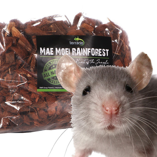 Podłoże kokosowe Terrario Mae Moei Rainforest 5 l / 450 g — duże zrębki