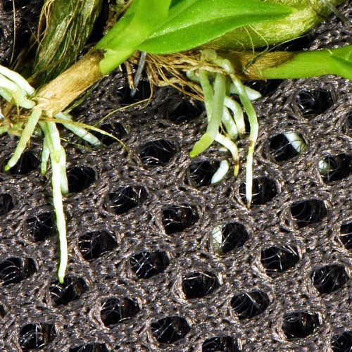 Wacool Rainforest Plant Cotton 440x440m - hydrolon | Idealny do terrarium, utrzymuje wilgoć