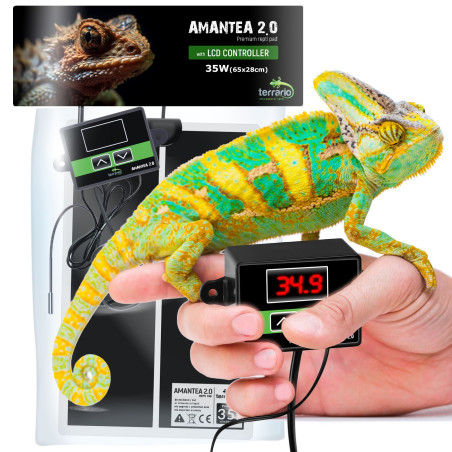 Terrario Amantea 2.0 35W - mata grzewcza z termostatem | Idealna do terrarium