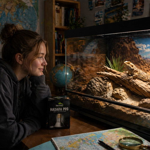 Halogen grzewczy Terrario Nadara Pro 25W