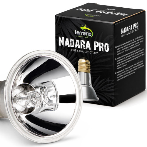 Halogen grzewczy Terrario Nadara Pro 25W