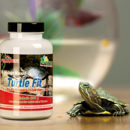 Femanga Turtle Fit 400g - Zapewnia zdrową skorupę i energię