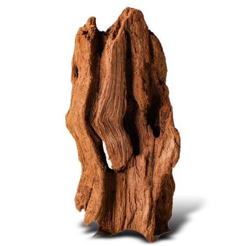Philippines Classic Driftwood drzewo mangrowca XS 16cm - Idealne do akwarium słodkowodnego