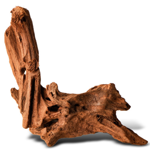 Philippines Classic Driftwood drzewo mangrowca XS 16cm - Idealne do akwarium słodkowodnego