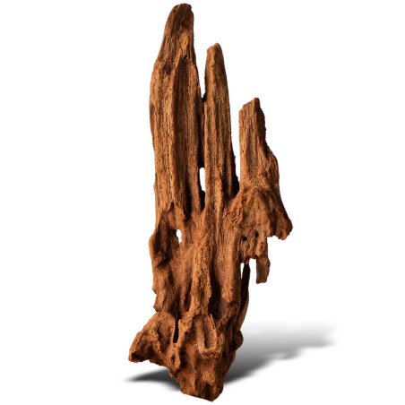 Philippines Classic Driftwood drzewo mangrowca XS 16cm - Idealne do akwarium słodkowodnego