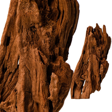 Philippines Classic Driftwood drzewo mangrowca XS 16cm - Idealne do akwarium słodkowodnego