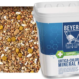 Beyers Urtica-Chlorella Mix 5kg - mieszanka grit, pokrzywa, muszle morskie, algi, nasiona oleiste i białko