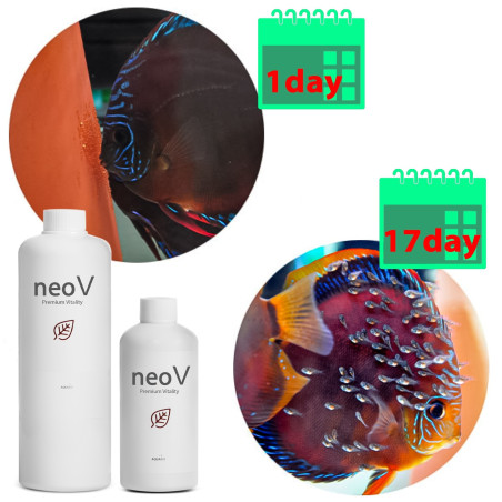 Neo V 300ml bakterie stabilizacja pH witaminy dla ryb - Zdrowe ryby i krystaliczna woda