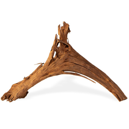 Philippines Classic Driftwood - drzewo mangrowca M 25-30 cm | Idealne do akwarium