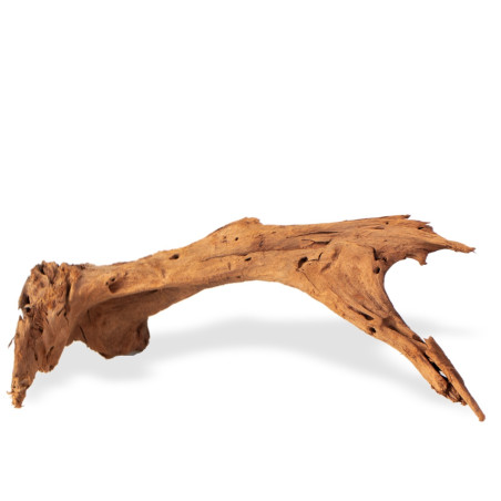 Philippines Classic Driftwood - drzewo mangrowca M 25-30 cm | Idealne do akwarium