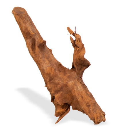 Philippines Classic Driftwood - drzewo mangrowca M 25-30 cm | Idealne do akwarium