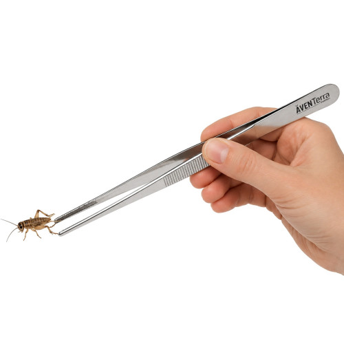 Pęseta Aventerra CLAWey POINT 30 cm prosta stalowa do terrarium
