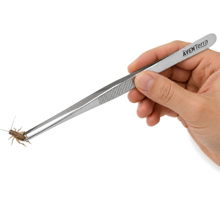Pęseta Aventerra CLAWey POINT 30 cm prosta stalowa do terrarium