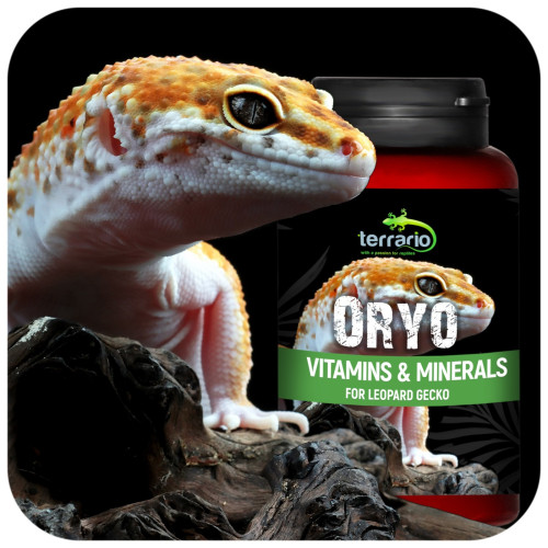 Terrario ORYO for Leopard Gecko 150g - Zdrowe łuski i więcej energii