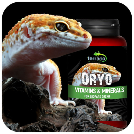 Terrario ORYO for Leopard Gecko 150g - Zdrowe łuski i więcej energii
