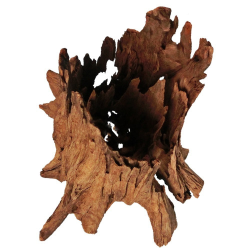 Philippines Classic Driftwood - drzewo mangrowca z wody L 30cm - 40cm | Idealne do akwarium słodkowodnego