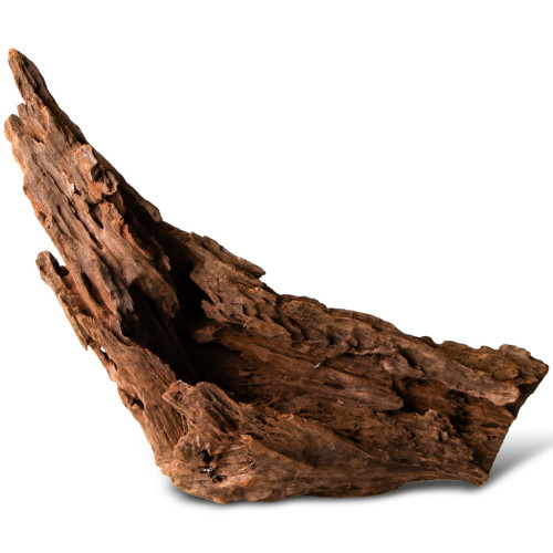 Philippines Classic Driftwood - drzewo mangrowca z wody L 30cm - 40cm | Idealne do akwarium słodkowodnego