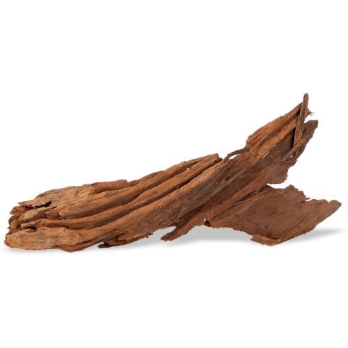 Philippines Classic Driftwood - drzewo mangrowca z wody L 30cm - 40cm | Idealne do akwarium słodkowodnego
