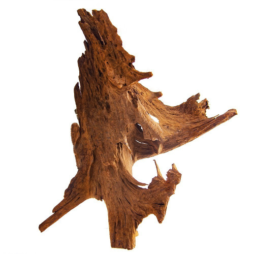 Philippines Classic Driftwood - drzewo mangrowca z wody L 30cm - 40cm | Idealne do akwarium słodkowodnego