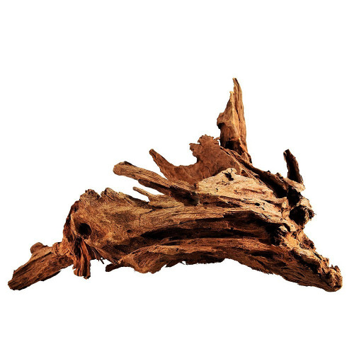 Philippines Classic Driftwood - drzewo mangrowca z wody L 30cm - 40cm | Idealne do akwarium słodkowodnego